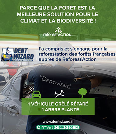 dent-wizard-s-engage-pour-la-reforestation-aupres-de-reforest-action